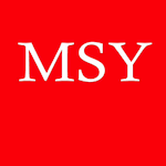 MSY Technology