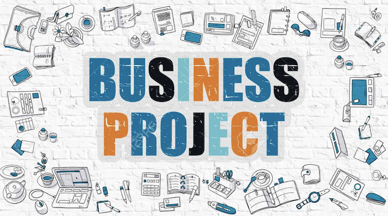 business project