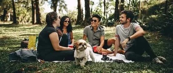 Monash大学最新报告：年轻人感觉自己的青春被剥夺