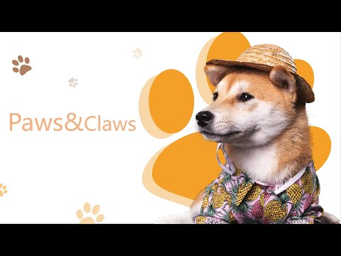 Paws&Claws项目 Proposal展示 | Web全栈班21期 | 澳洲全栈开发项目 | 澳洲全栈开发学习 | 澳洲Full Stack求职